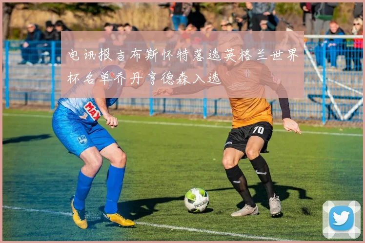 电讯报吉布斯怀特落选英格兰世界杯名单乔丹亨德森入选